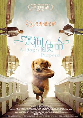 年轻的嫂子2